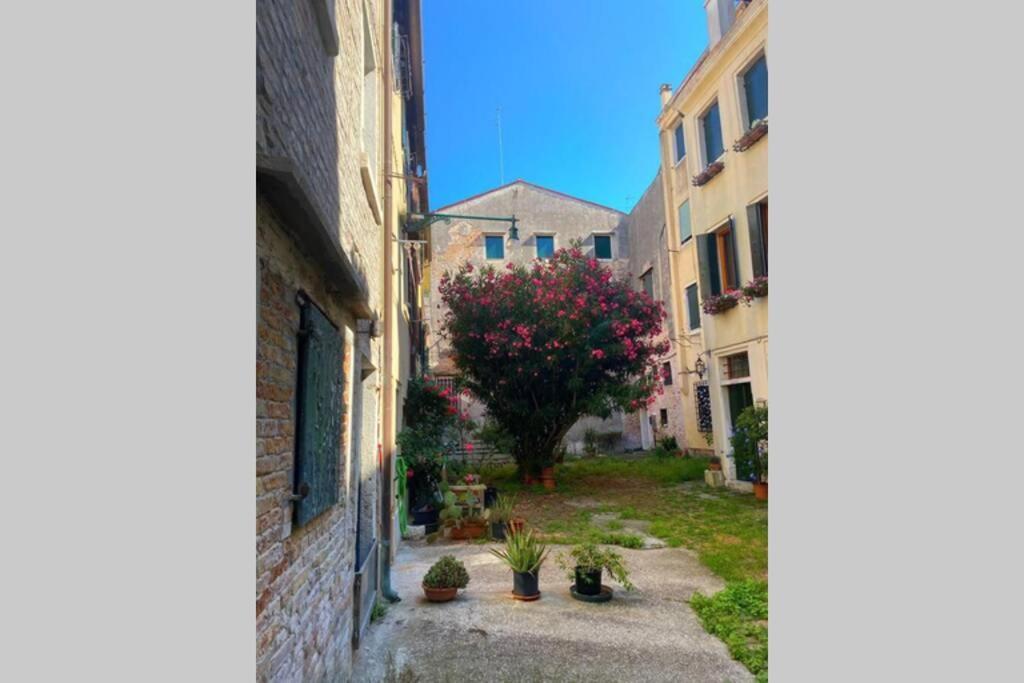 The Glamour Of San Marco Apartment Venesia Bagian luar foto
